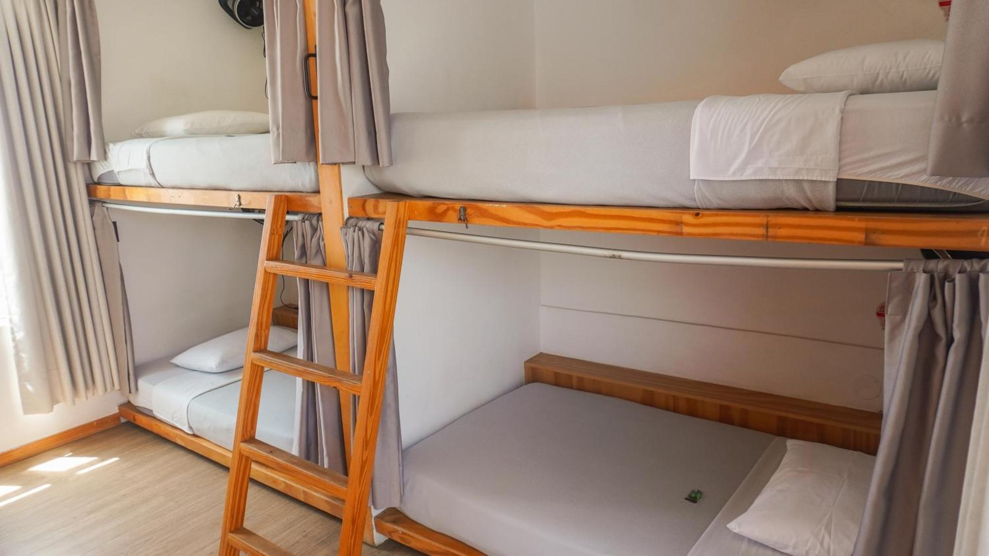 Viajero Paracas Hostel Ngoại thất bức ảnh