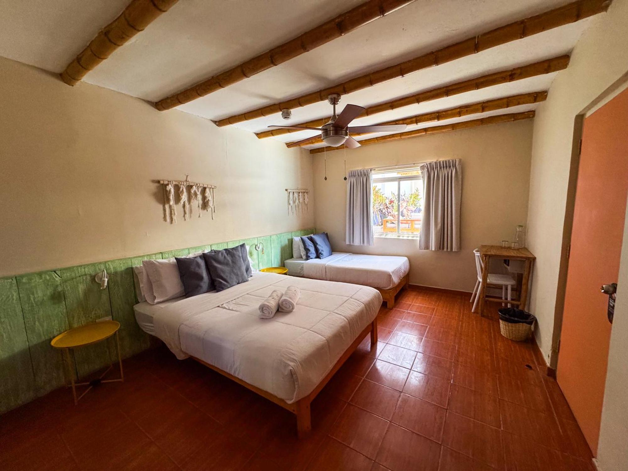 Viajero Paracas Hostel Ngoại thất bức ảnh