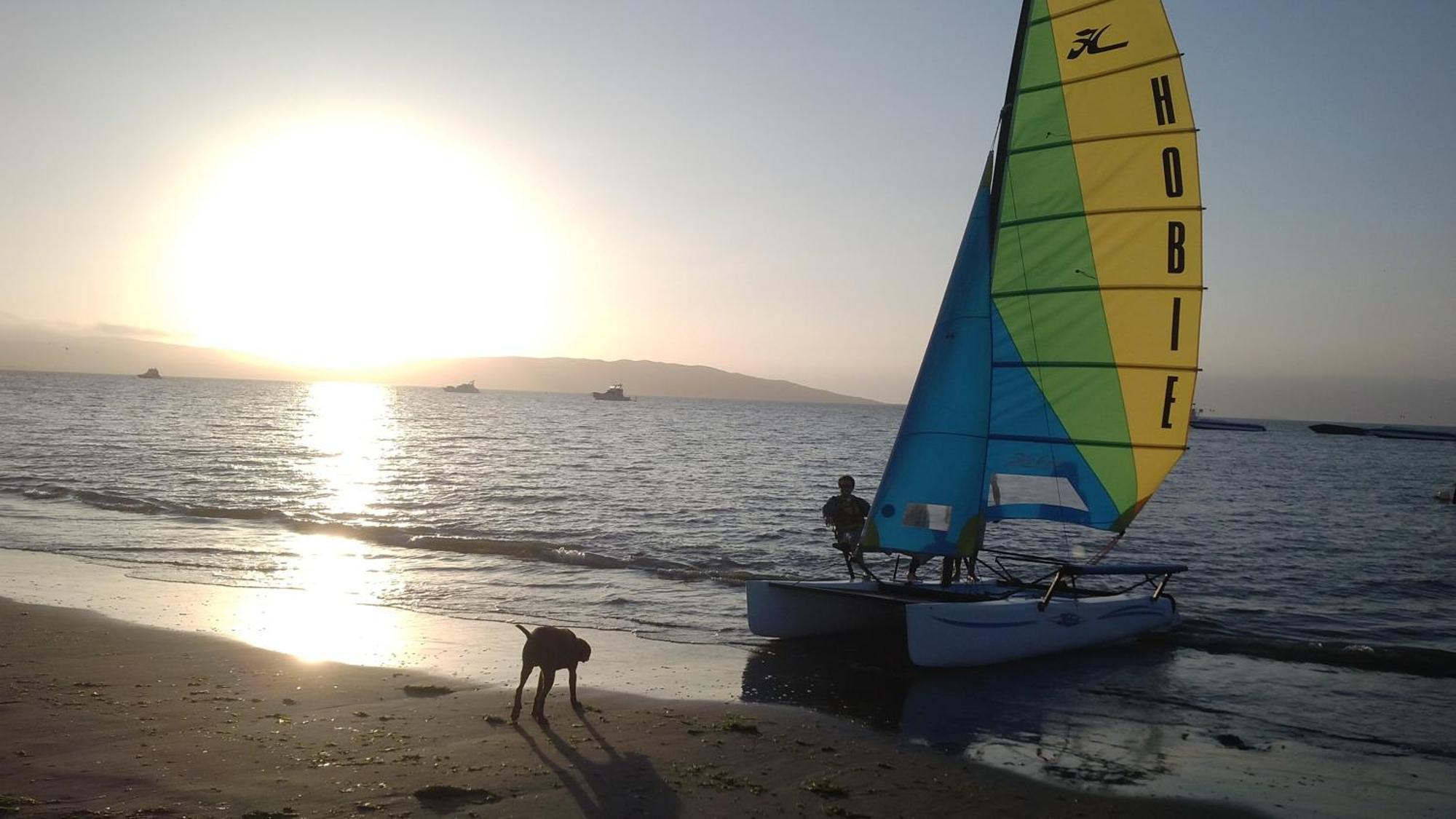 Viajero Paracas Hostel Ngoại thất bức ảnh